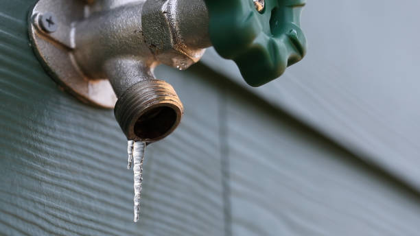 Best Clogged Drain Plumber  in Wesley Chapel, NC